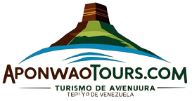 Aponwaotours.com